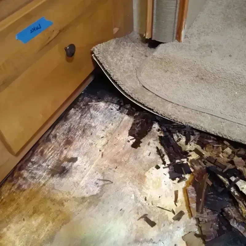 Wood Floor Water Damage in Riverside, MO